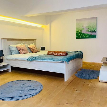 The Central Apartament Apartment Cluj-Napoca Ngoại thất bức ảnh