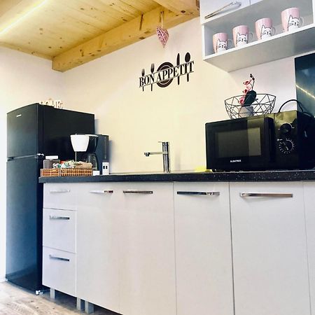 The Central Apartament Apartment Cluj-Napoca Ngoại thất bức ảnh