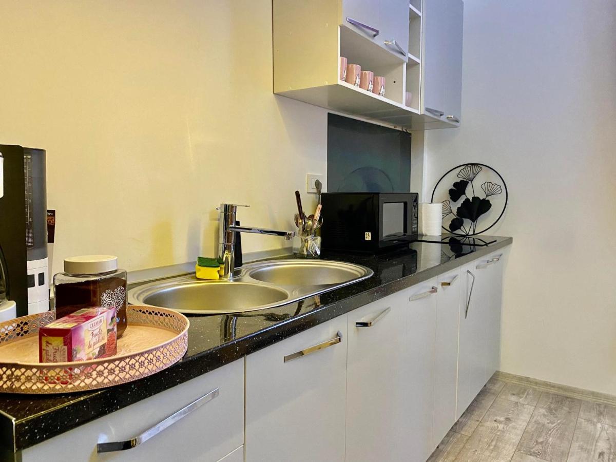 The Central Apartament Apartment Cluj-Napoca Ngoại thất bức ảnh