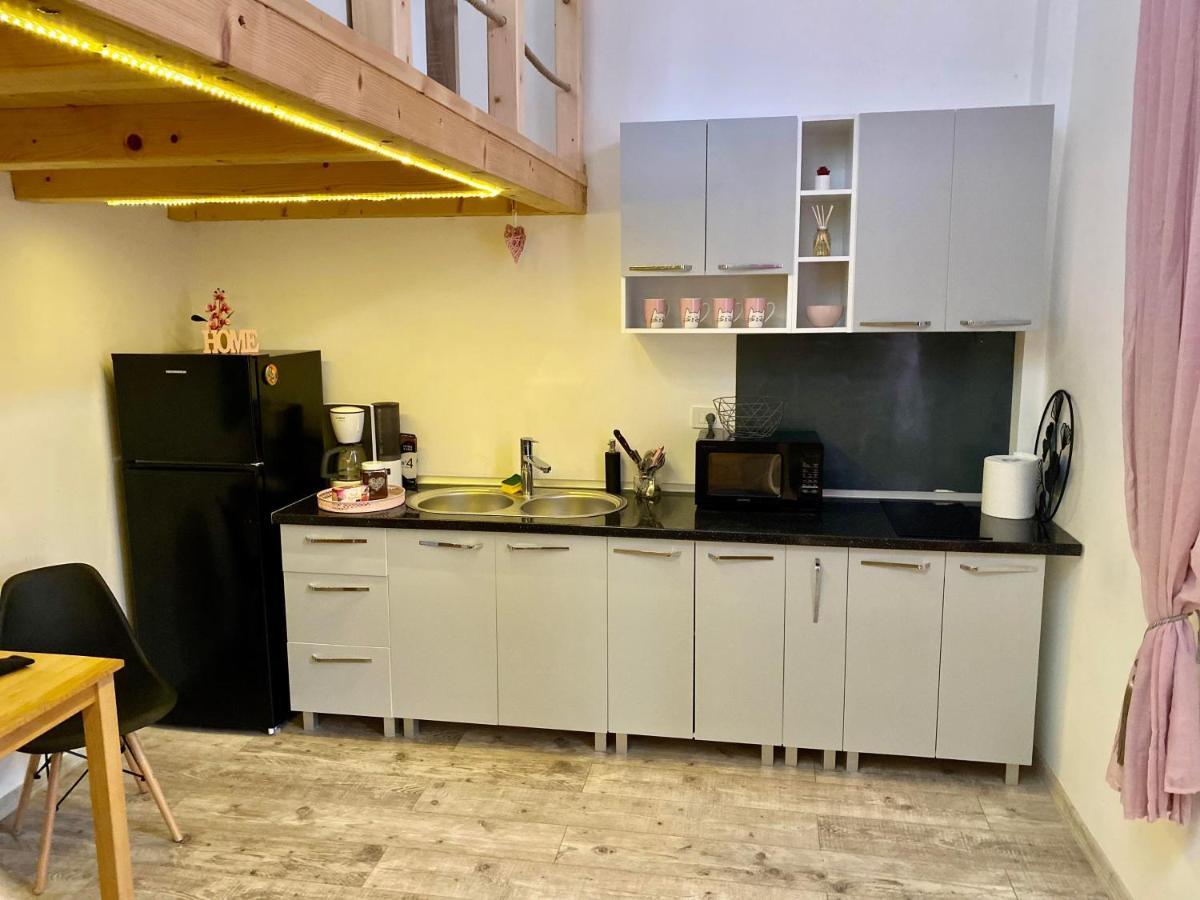 The Central Apartament Apartment Cluj-Napoca Ngoại thất bức ảnh