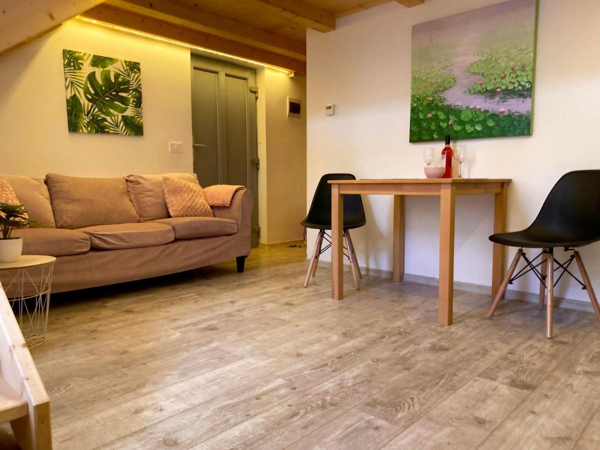 The Central Apartament Apartment Cluj-Napoca Ngoại thất bức ảnh
