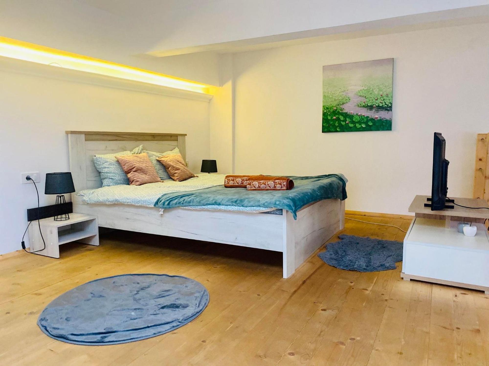The Central Apartament Apartment Cluj-Napoca Ngoại thất bức ảnh